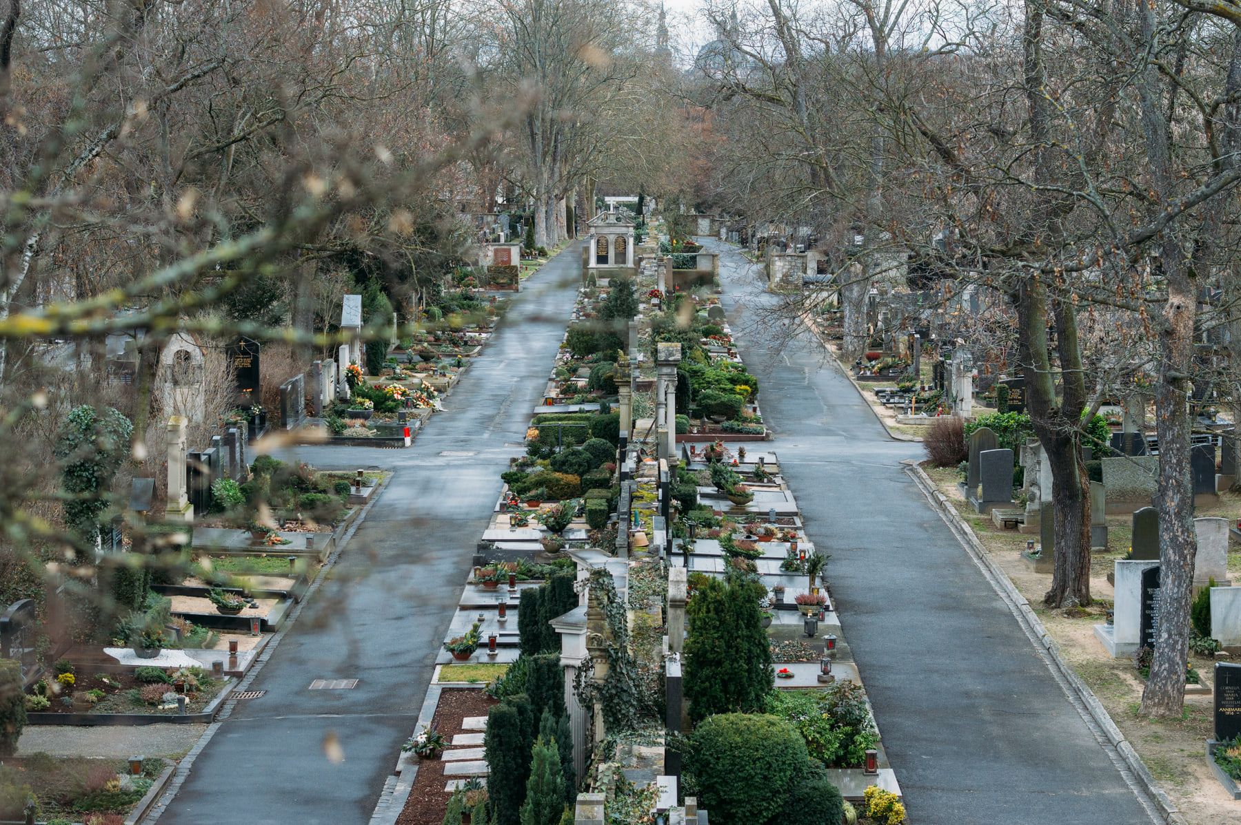 Erhöhter Blick über dicht belegte Grabfelder und parallele Wege zwischen winterlich kahlen Bäumen auf Hauptfriedhof Würzburg