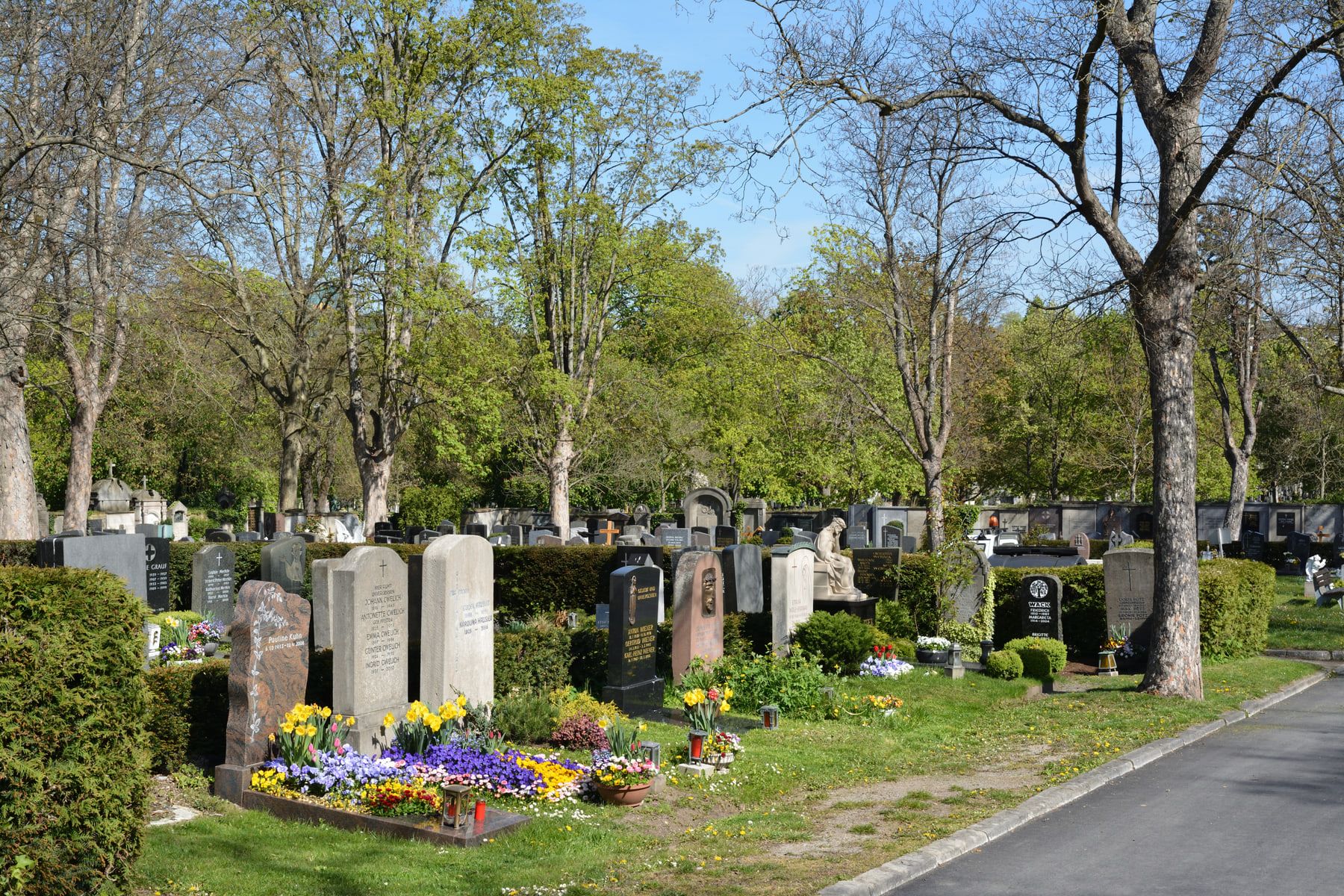 Sonniger Friedhofsweg zwischen alten Laubbäumen und vielfältigen Grabmalen auf Hauptfriedhof Würzburg