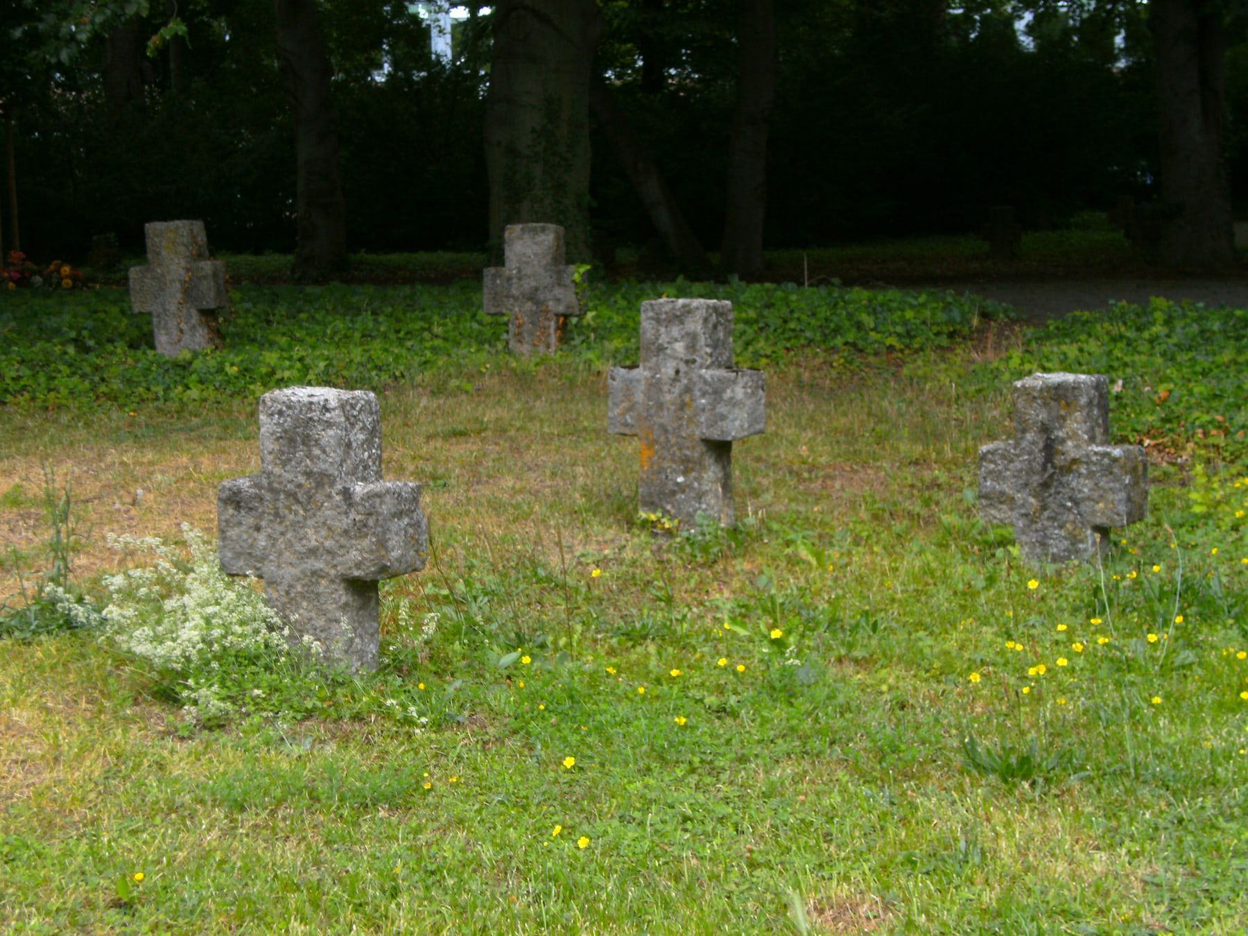 Reihen gedrungener Steinkreuze in der Kriegsgräberstätte für die Würzburger Bombenopfer auf Hauptfriedhof Würzburg